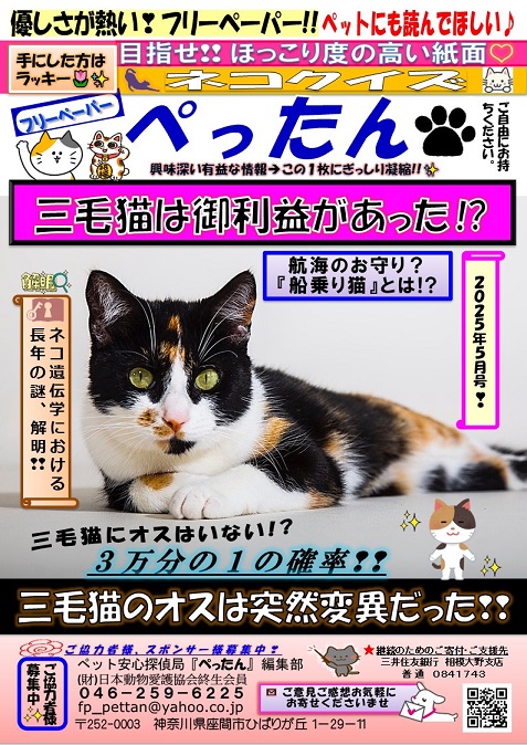　ぺったん