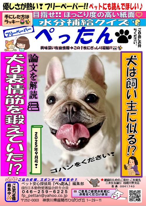 　ぺったん
