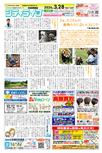 地域情報紙シティライフ